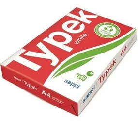 Typek A4 80 gsm Copy Paper Ream (White)